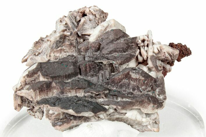 Bi-Colored Cerussite Crystal Cluster - Congo #332889